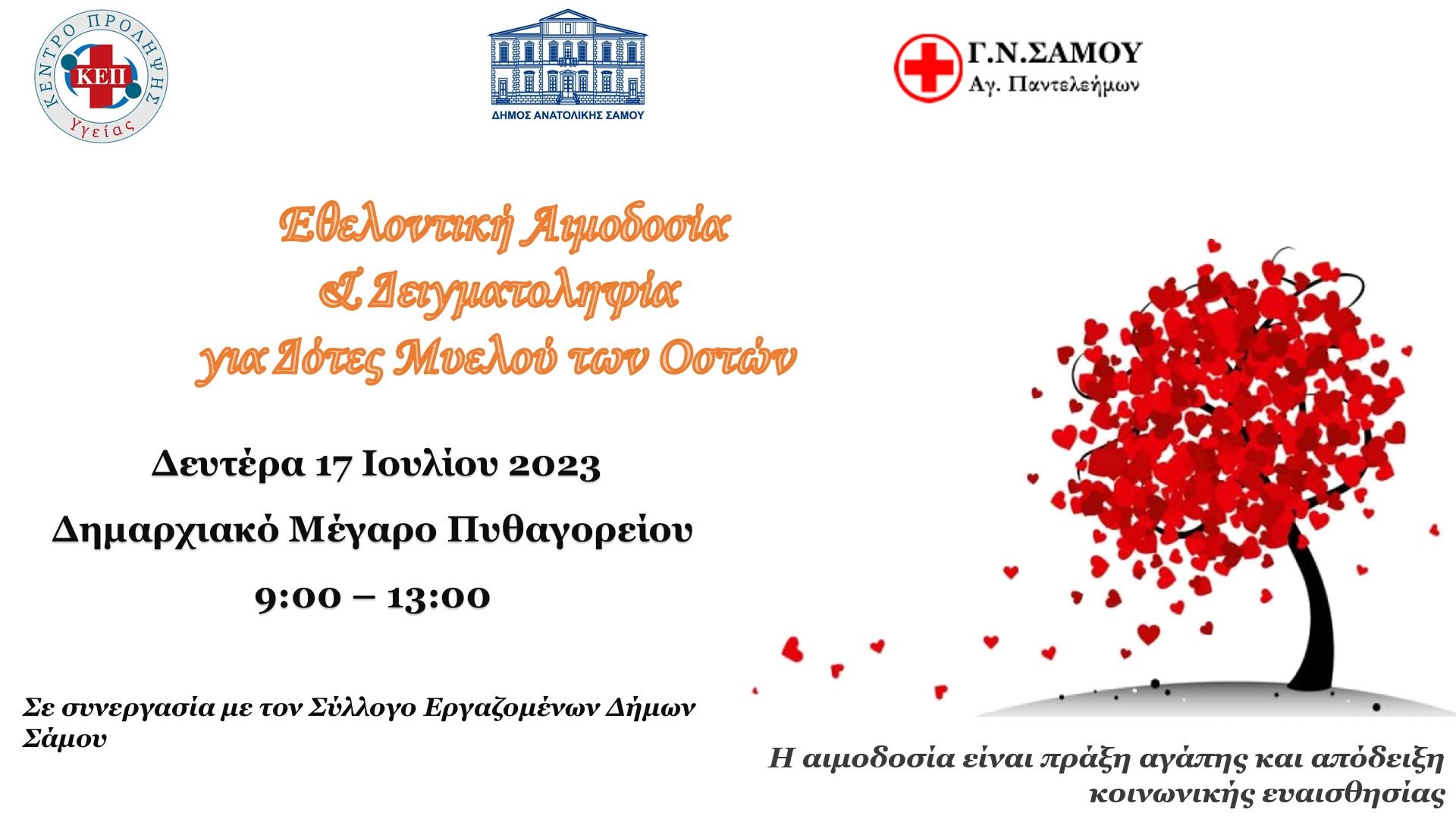 Εθελοντική Αιμοδοσία στο Δημαρχιακό Μέγαρο Πυθαγορείου