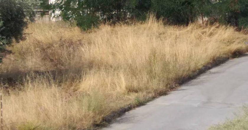 Αντίστροφα μετρά ο χρόνος για τα ακαθάριστα οικόπεδα, προθεσμία μέχρι τις 30 Ιουνίου