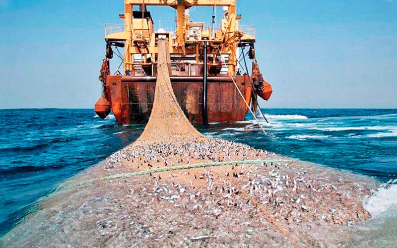 Επιστολή δημάρχου για την παράνομη αλιεία