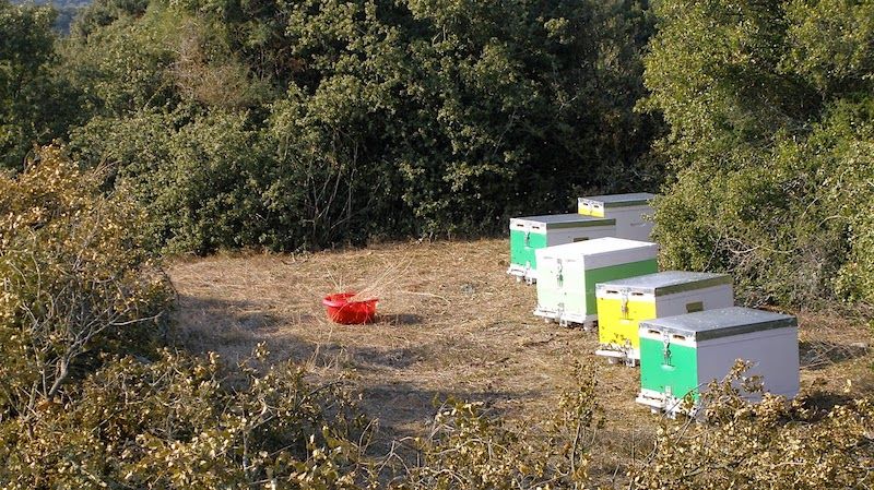 Σάμος: Συνελήφθη για 40 ζωοκλοπές